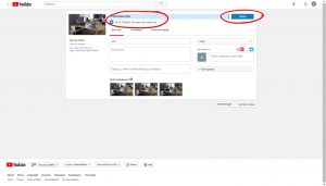 Processing done stated on upload bar, circled and publish button available on the right, circled