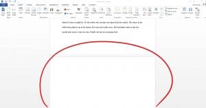 Blank page of Word Document circled