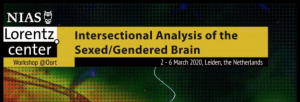 Conference logo: Intersectional Analysis of Sexed/Gendered Brain